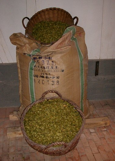 01_hopfen